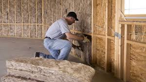 Lino Lakes, MN Insulation Company